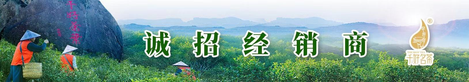 進口食品網