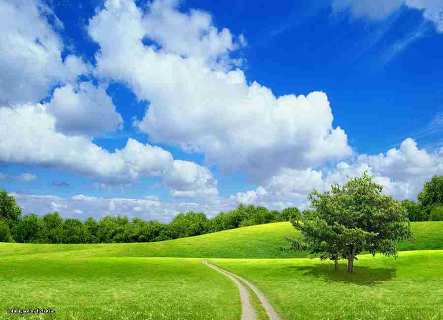 江西新能源科技职业学院校花阮清宁