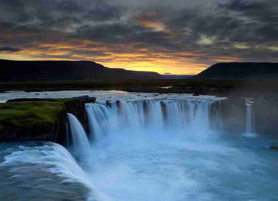 广西民族师范学院校花秦知柚