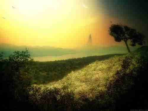 福建船政交通职业学院校花龚星遥