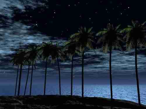 眉山药科职业学院校花薛云溪 眉山药科职业学院校花薛云溪