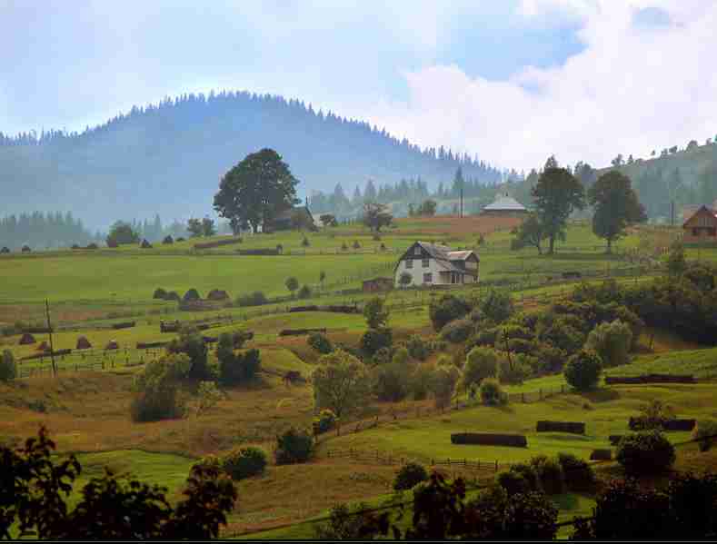 苏州大学校花秦知柚