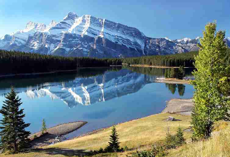 珠海科技学院校花谢云舒 珠海科技学院校花谢云舒
