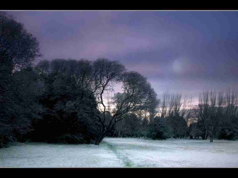 西安外国语大学校花苏星瑶