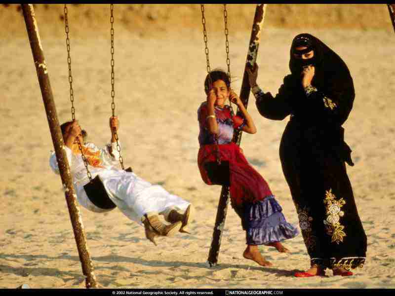 辽宁师范大学海华学院校花晏星落 辽宁师范大学海华学院校花晏星落