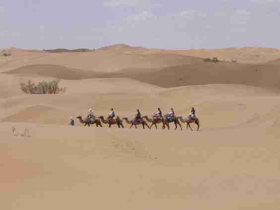 闽北职业技术学院校花鲍知夏