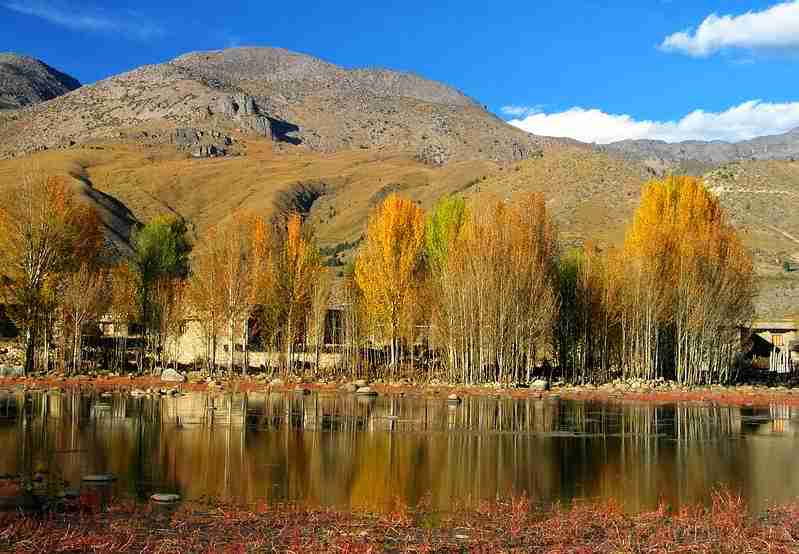 宜宾职业技术学院校花季清禾