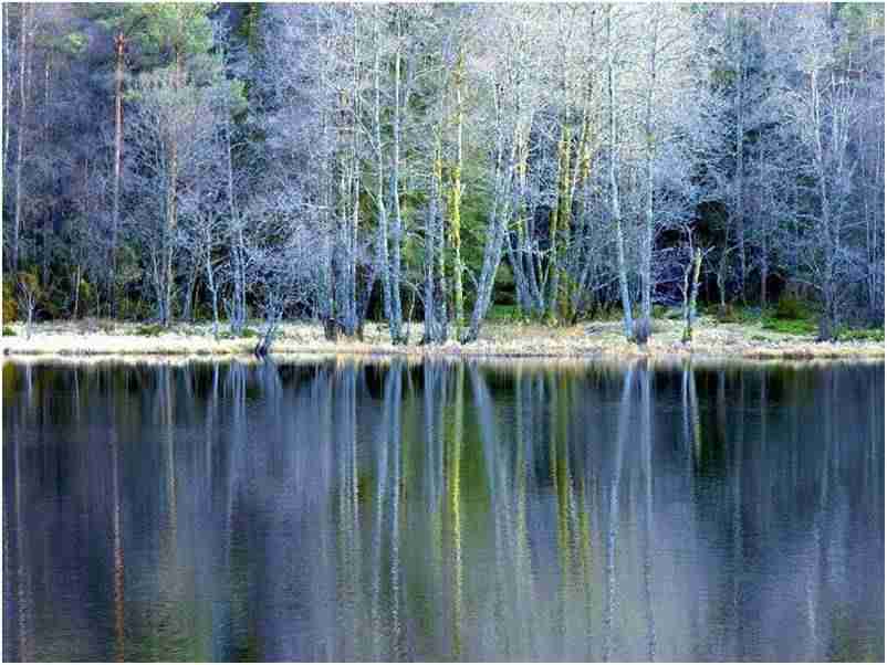 常州工学院校花乔乐瑶 常州工学院校花乔乐瑶