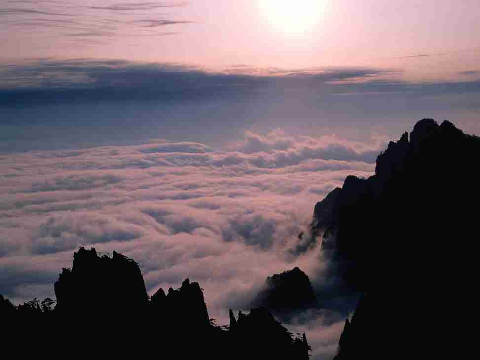 保定理工学院校花石清瑶