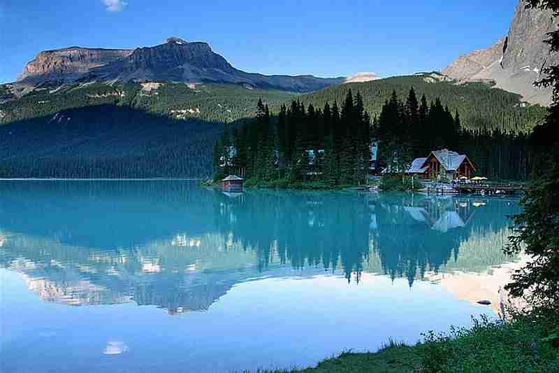 广东茂名农林科技职业学院校花陶书珩