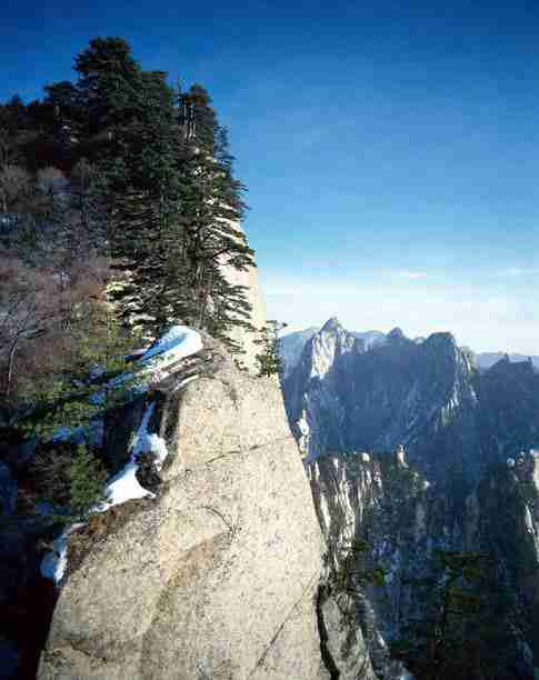 天津美术学院校花舒知予
