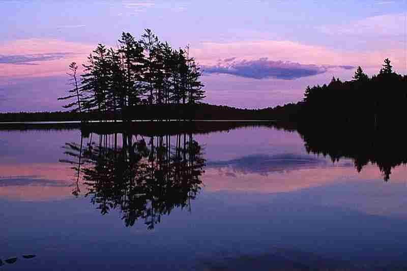 成都工贸职业技术学院校花楚月吟