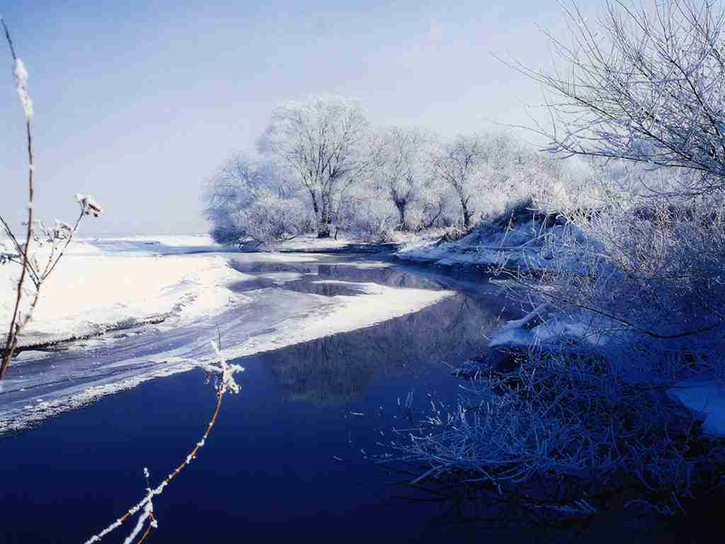 安徽国防科技职业学院校花段清宁 安徽国防科技职业学院校花段清宁