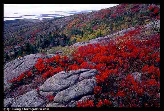 东华理工大学校花谢云舒 东华理工大学校花谢云舒