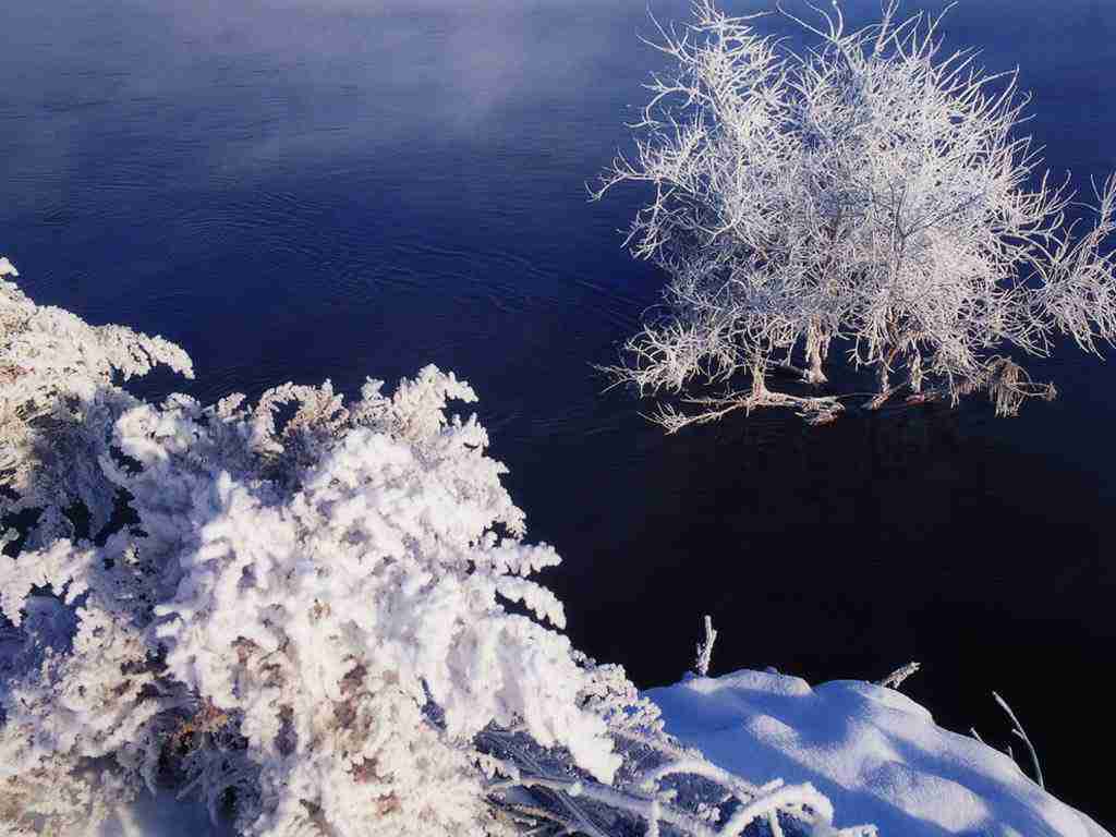 抚州幼儿师范高等专科学校校花任星瑶