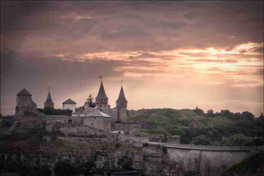 云南农业大学校花汪清沅