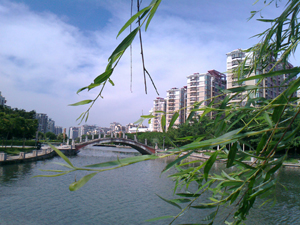 星湖公園