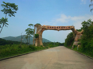 南澳黃花山森林公園